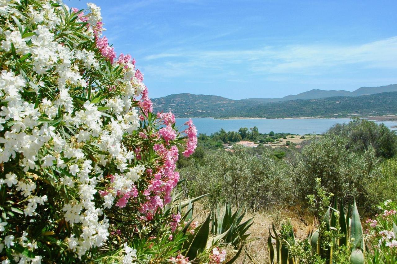 Bella Vista With Sea View - Happy Rentals Cugnana Eksteriør bilde